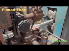 ống vây thẳng là gì